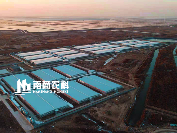 6个注意事项保证猪场建设