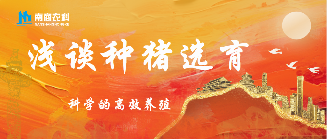 上一篇