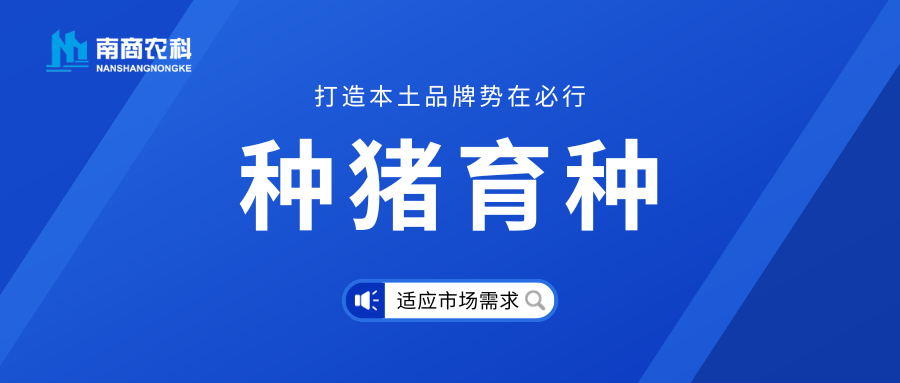 种猪育种