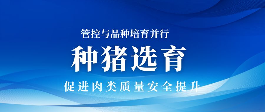 下一篇